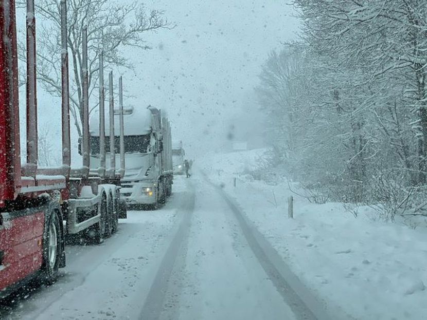 Sniježni talas pogodio Sloveniju: Zabijelilo kao da je januar, zatvoreni brojni putevi