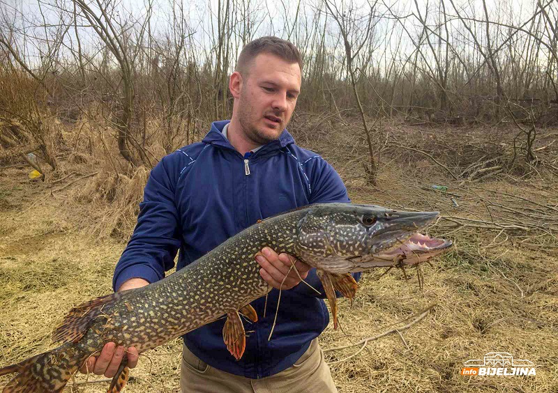 Od danas lovostaj na štuku, bijeljinski ribolovci zadovoljni sezonom (FOTO)