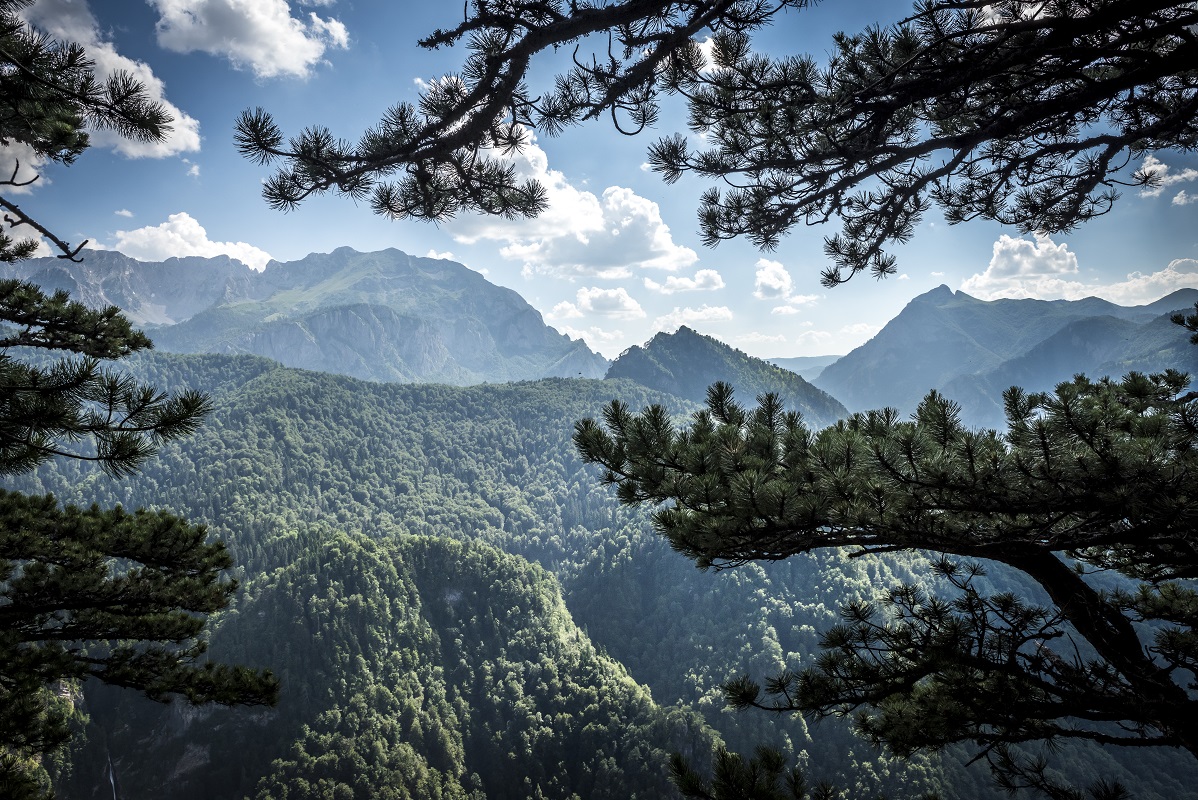 Bosna i Hercegovina ima čak 12 prašuma