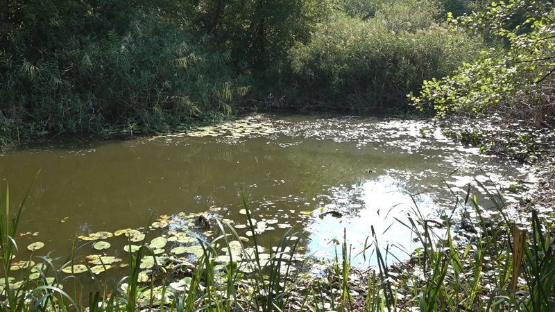Nekada ponos, danas smeće i plastika: Močvara u Semberiji nestaje, rijetke ribe i ptice umiru, a niko ne reaguje