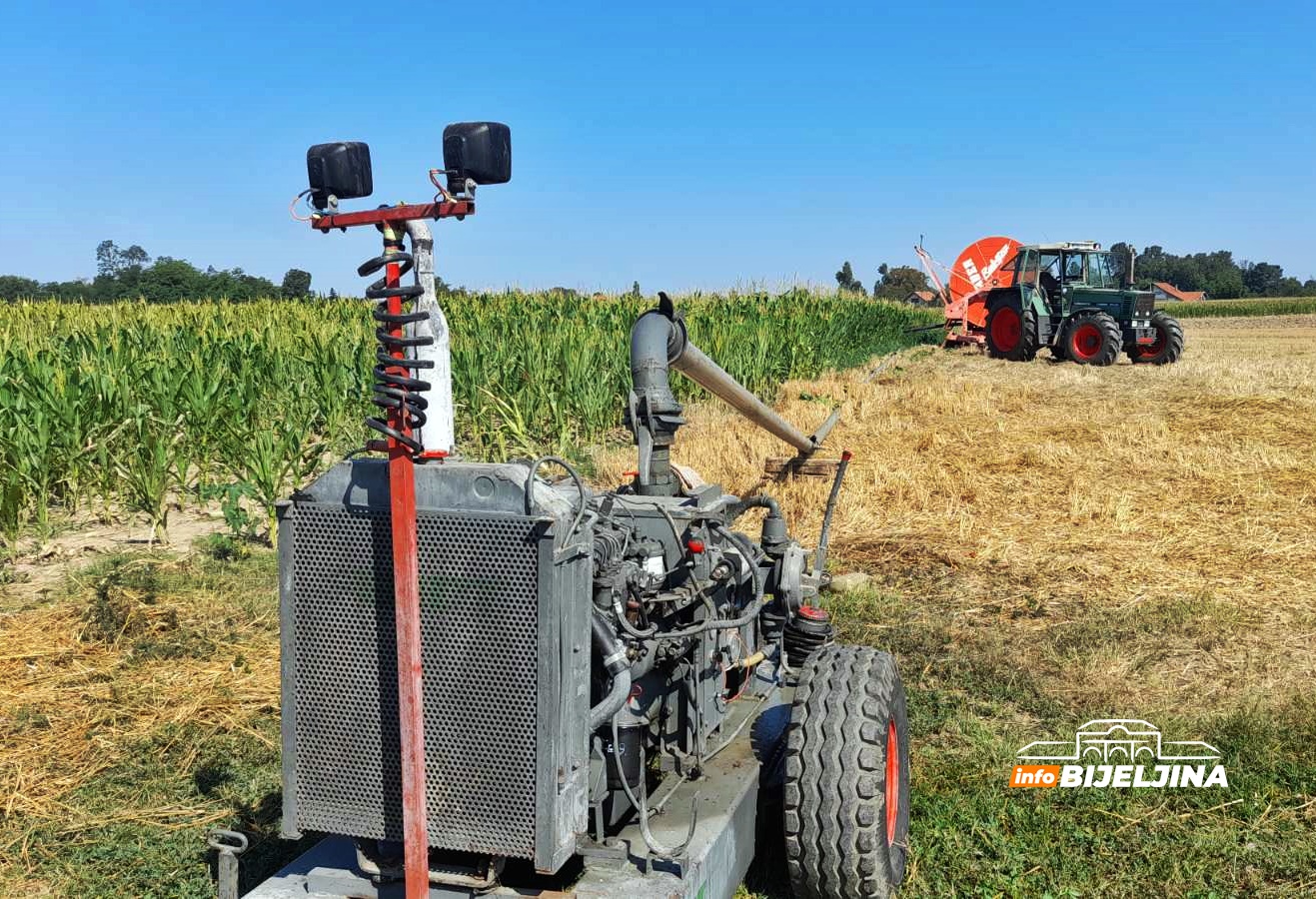 Semberski poljoprivrednici gledaju u nebo: Zbog suše šteta na kukuruzu do 70 odsto (FOTO)
