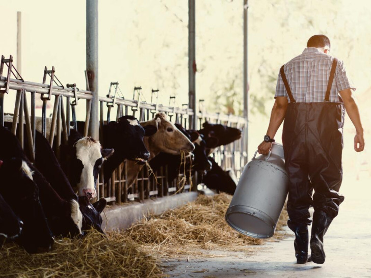 Najveća kriza u 20 godina: Mljekari u Republici Srpskoj gase farme i rasprodaju krave