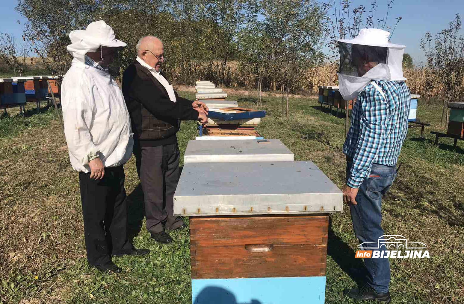 Semberski pčelari zadovoljni, PRINOSI BAGREMOVOG MEDA SOLIDNI (FOTO)