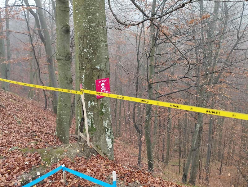 Završeno pošumljavanje dijela majevičke goleti: Šteta koja se ekspolatacijom drveća nanosi, mora se ublažiti FOTO