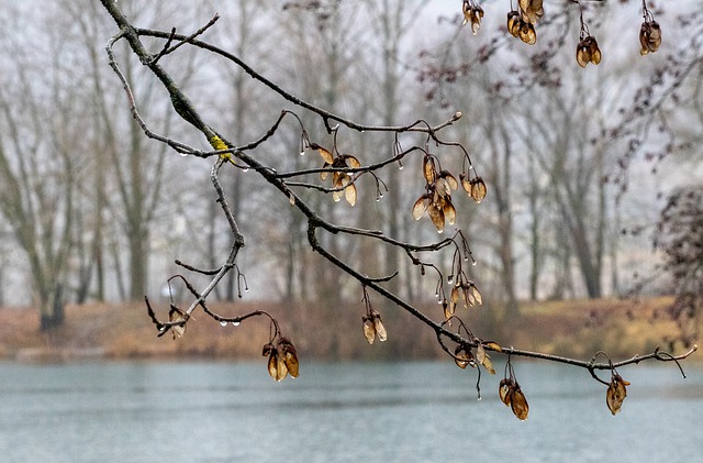 Danas hladno sa padavinama