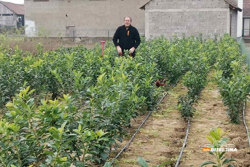 Draža im Semberija od Švedske: Sa 3,5 dunuma pod cvijećem dobiju kao sa 20 pod povrćem (FOTO)