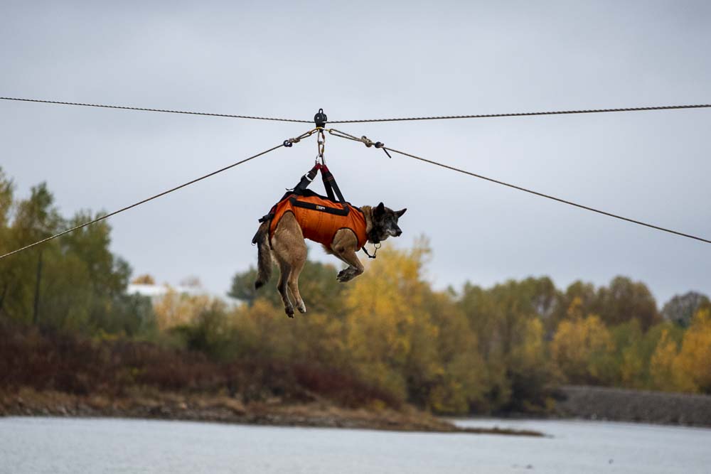 Vulin: Vježba „Sistem 2021“ uspješno završena (FOTO)