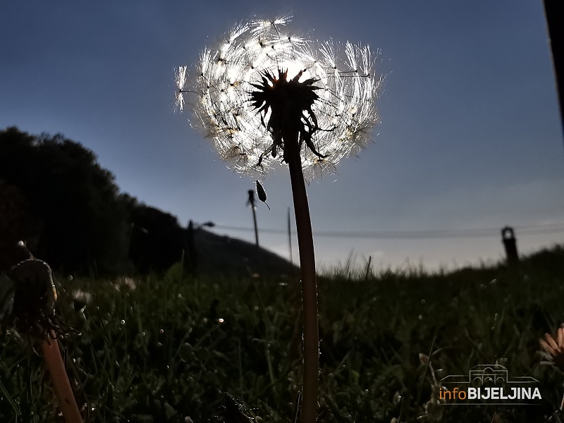 Kakvo nas vrijeme očekuje do polovine aprila?