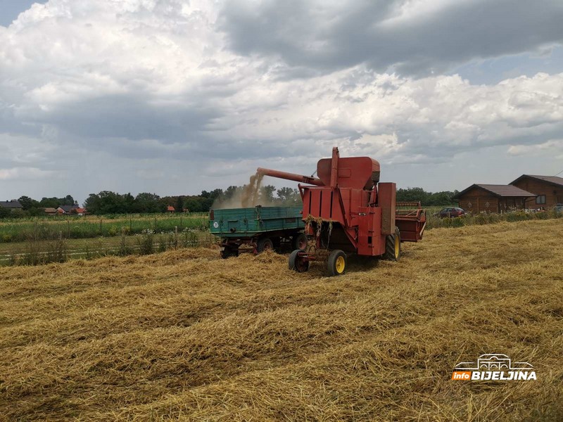 Žetva u Semberiji pri kraju, poljoprivrednici otkrili koju će cijenu žita tražiti (FOTO)