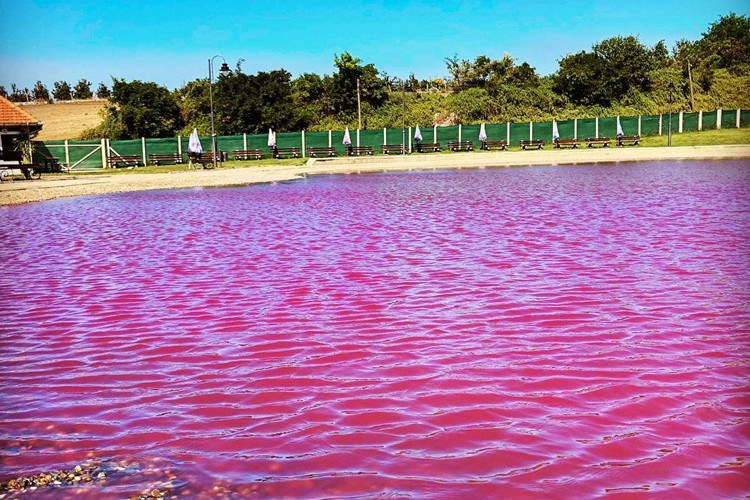 Da li ste čuli za ljubičasto jezero? Skriveni dragulj Vojvodine termalnim jezerom /FOTO/