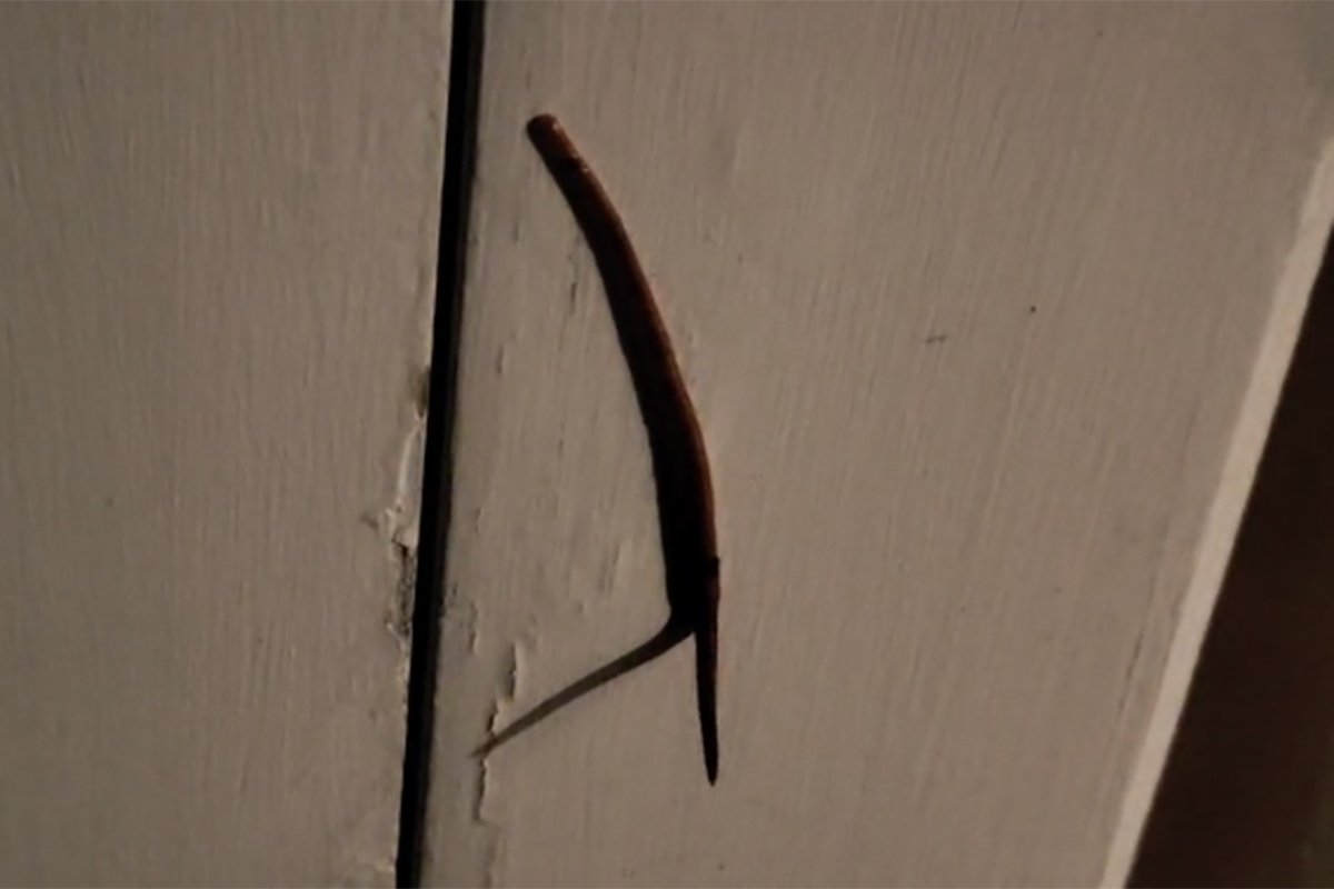 Snimio čudno stvorenje na vratima: 