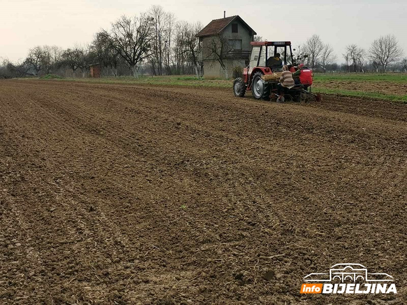 Semberski povrtari optimistični: U punom jeku sjetva ranog povrća i krompira, đubrivo jeftinije, otkupna cijena veća