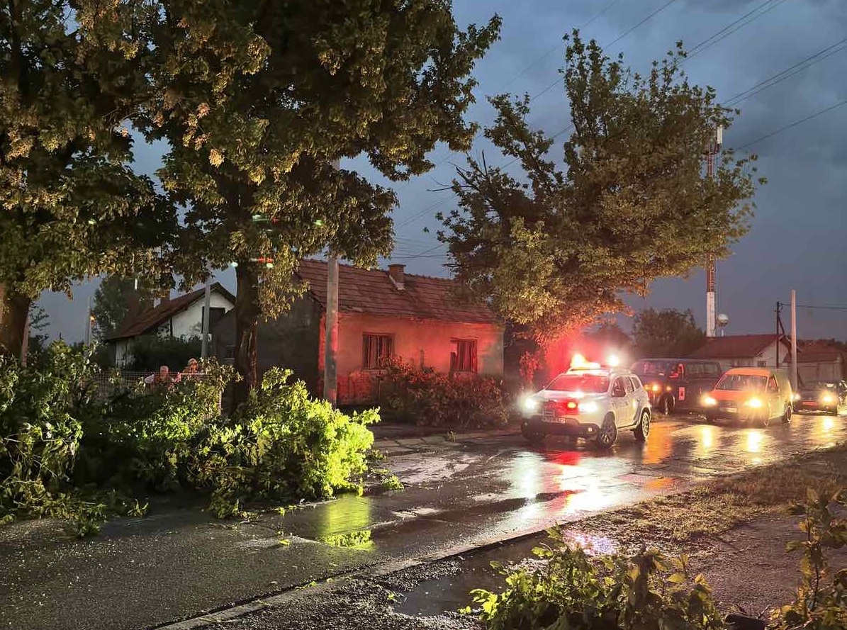 Nadležne službe na nogama: Više od 40 ljudi angažovano na čišćenju terena u Bijeljini (FOTO, VIDEO)