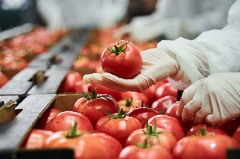 Jednim potezom utvrdite da li je paradajz domaći ili nakljukan hemijom