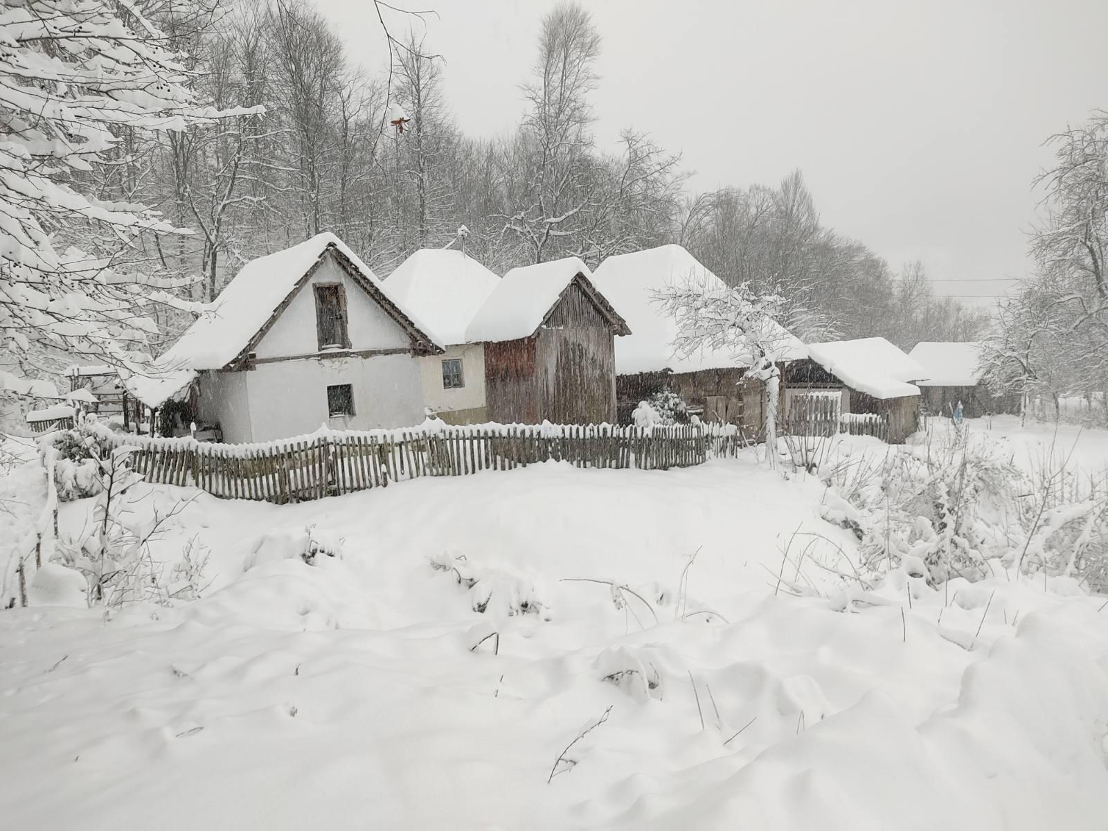 Lopare: Puteve čisti skoro 30 mašina, nema struje u nekoliko mjesnih zajednica (FOTO)