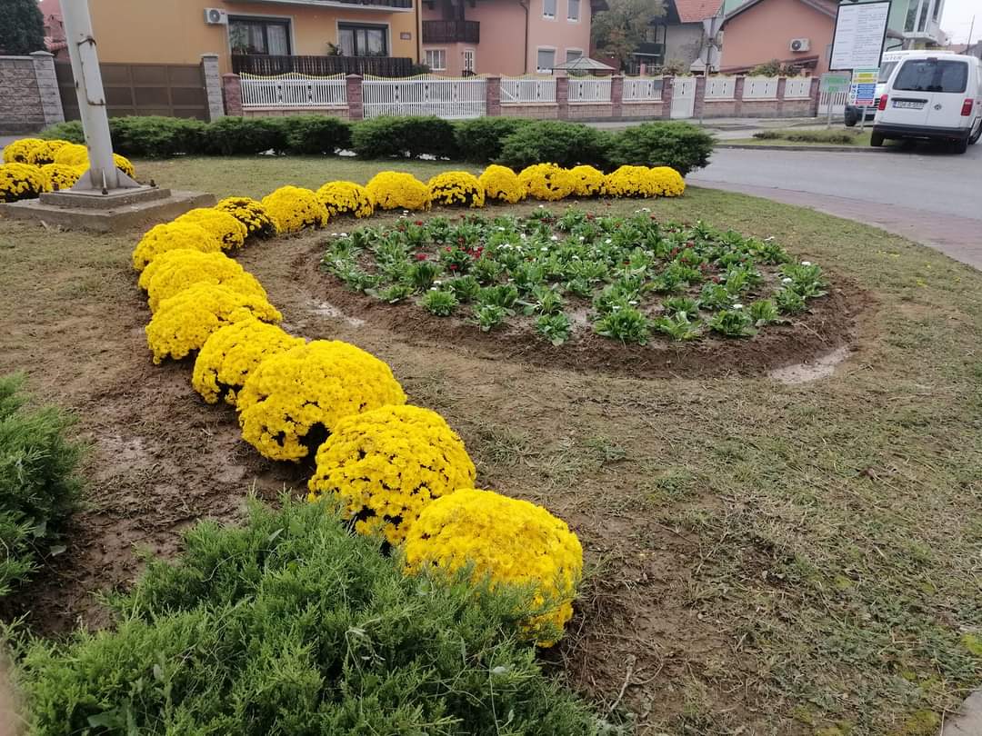 Kružni tokovi u Bijeljini ukrašeni cvijećem (FOTO)