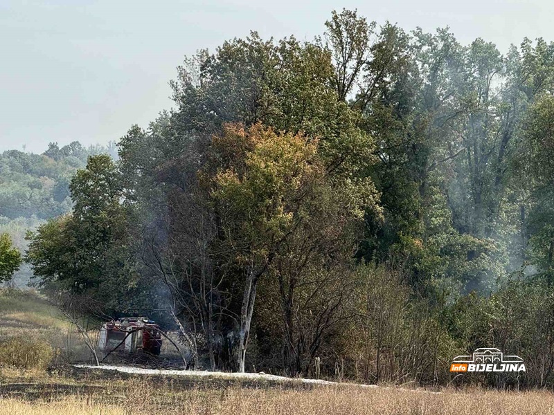 Požar kod Bijeljine, na terenu vatrogasci (FOTO)