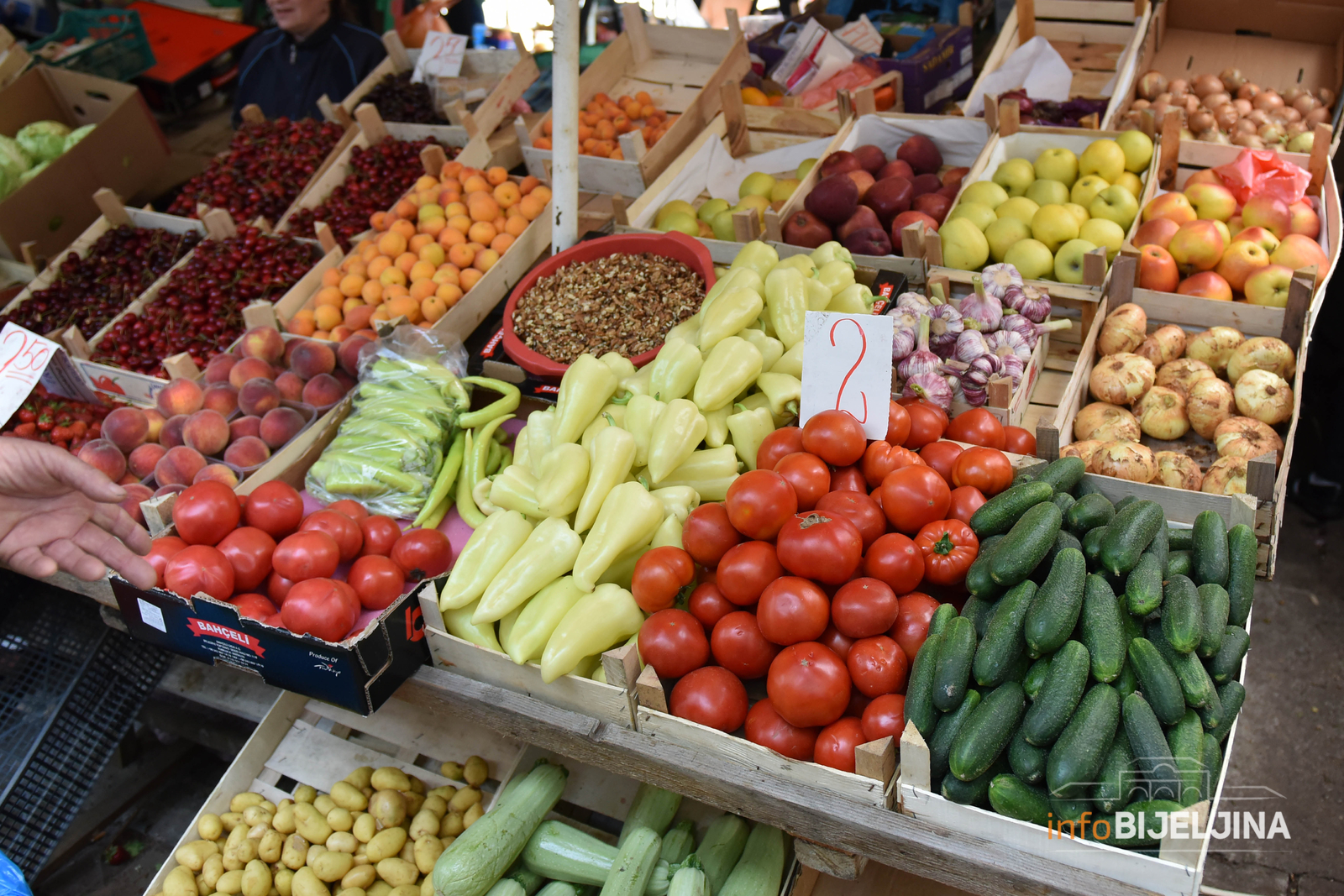 Manji otkup i prodaja proizvoda poljoprivrede, šumarstva i ribarstva
