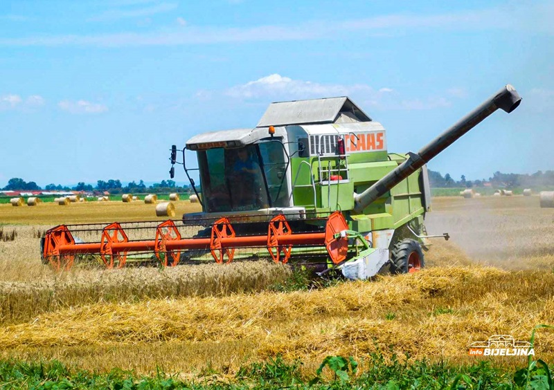 Semberija - bogata žitnica, oduvijek siguran izvor hrane