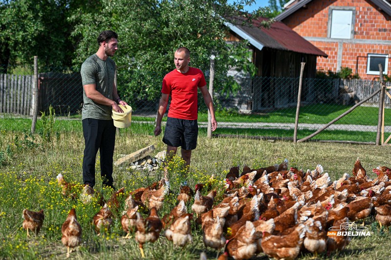 Jedinstvena farma u Semberiji: Imaju 600 koka nosilja, jaja prodaju i na društvenim mrežama (FOTO)