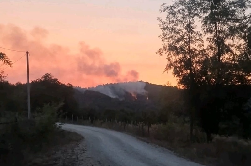 Požar na Majevici prijeti širenjem: Vatrogasci i mještani u borbi s vatrenom stihijom /FOTO/