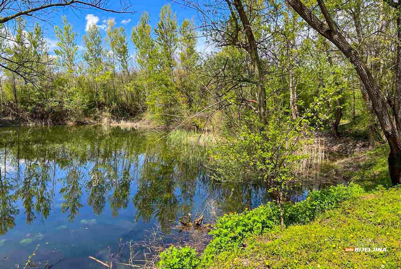 Istražuju biljni i životinjski svijet barskog sistema Drinice: Već registrovane 54 vrste ptica (FOTO)