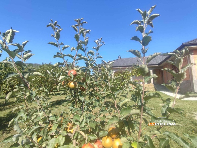 Bratske destilerije “Despot” i “Kristal” iz Ugljevika pet godina čuvaju rakiju u hrastovim buradima: U čemu je tajna? (FOTO)