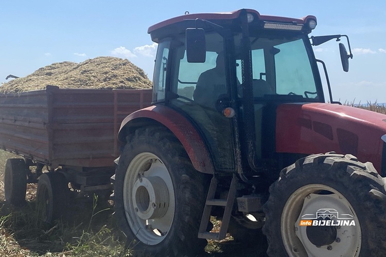 Tropske vrućine spržile kukuruz u Semberiji: “Šteta raste iz dana u dan, moraćemo kupovati da prehranimo stoku”