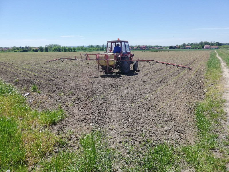 RATARIMA PUNE RUKE POSLA Neophodno zaštititi usjeve od korova i insekata