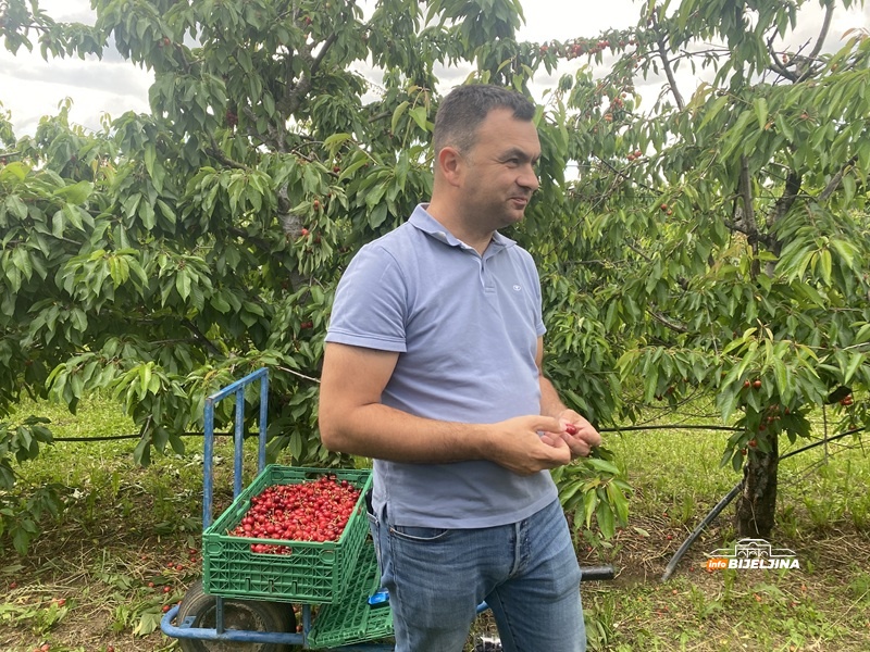 Lani izgubio 90 odsto roda, a danas bere pune gajbe: Voćar iz Semberije konačno dočekao svoju godinu