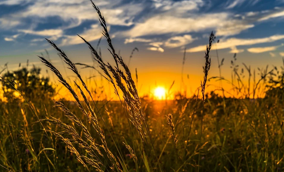 Danas sunčano i veoma toplo