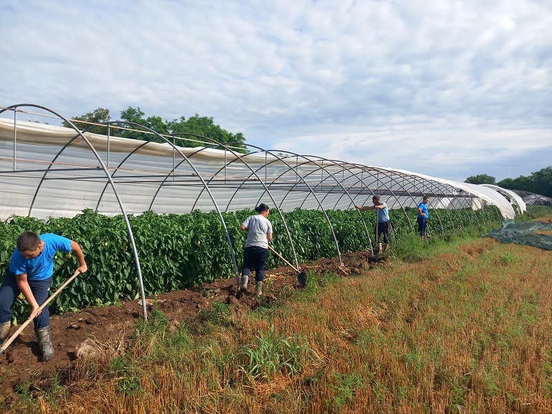 InfoBijeljina u Velikoj Obarskoj: Plastenici uništeni, letjeli i krovovi (FOTO)