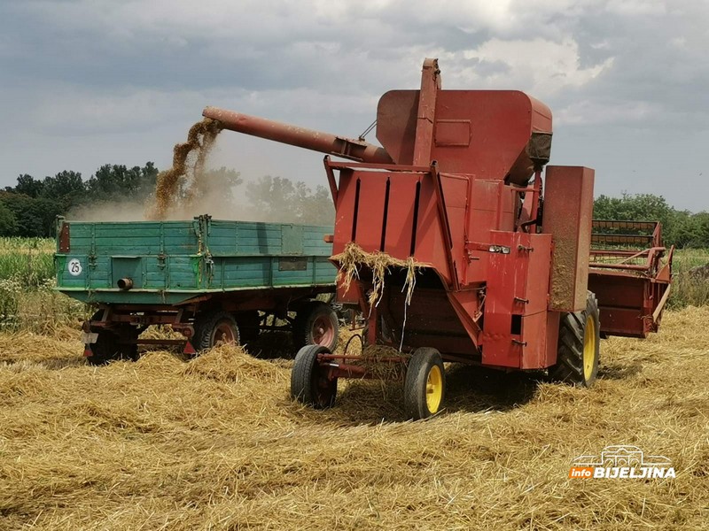 Žetva u Semberiji pri kraju, poljoprivrednici otkrili koju će cijenu žita tražiti (FOTO)