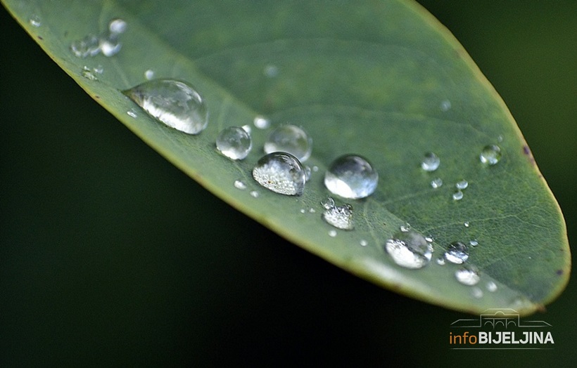 U četvrtak promjenljivo, uveče kiša