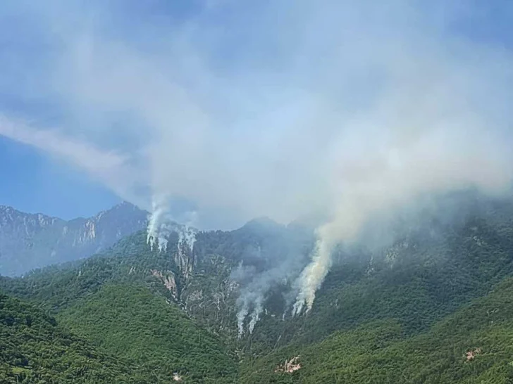 Požar u Jablanici i dalje aktivan, gori borova šuma