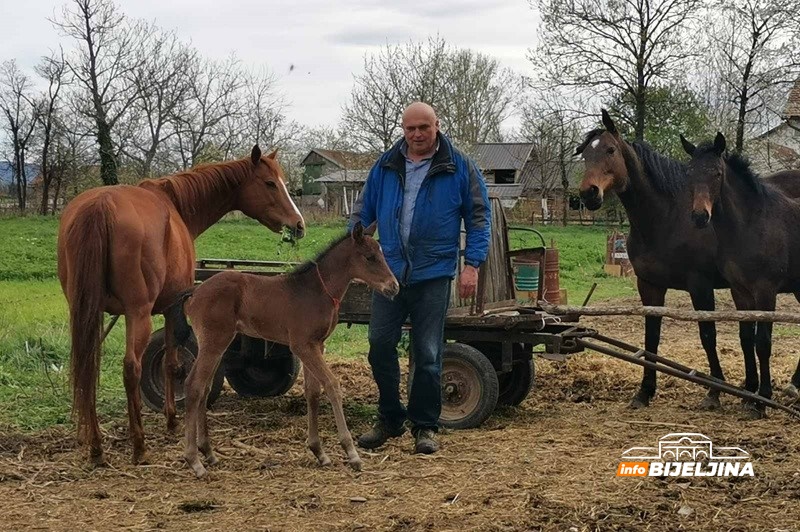 Zanimljivost iz semberskog sela Popovi: Kobila Džiju Džica ukazala da dolazi lijepo vrijeme