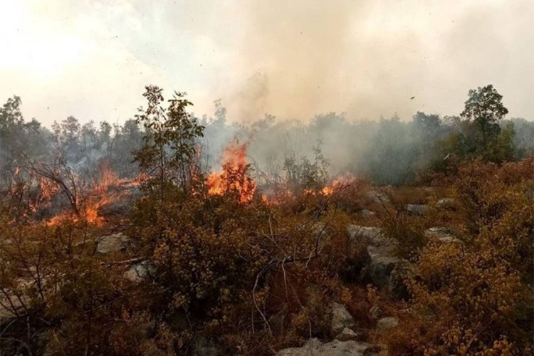 Aktivni požari na području Bileće i Gacka