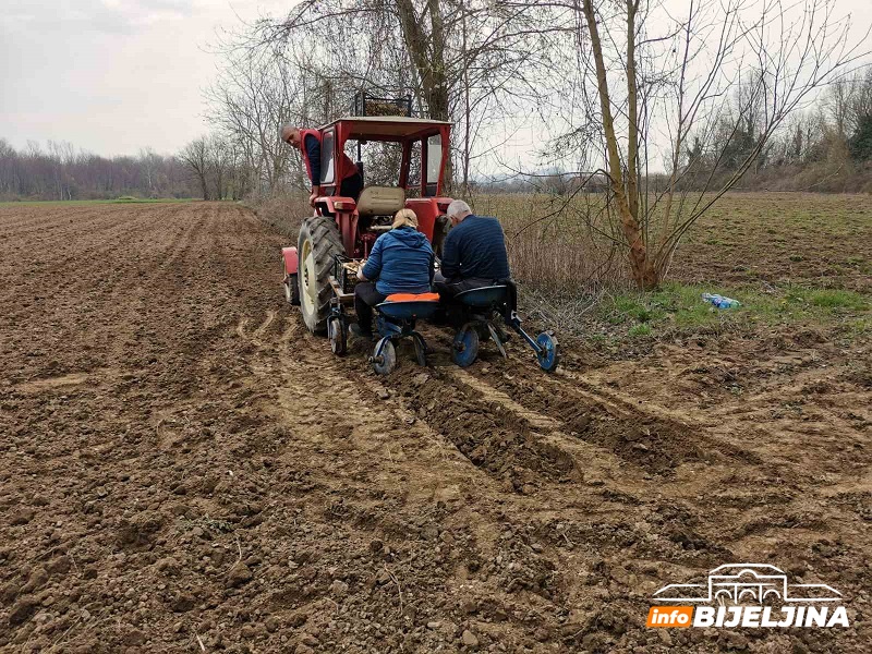Semberski povrtari optimistični: U punom jeku sjetva ranog povrća i krompira, đubrivo jeftinije, otkupna cijena veća