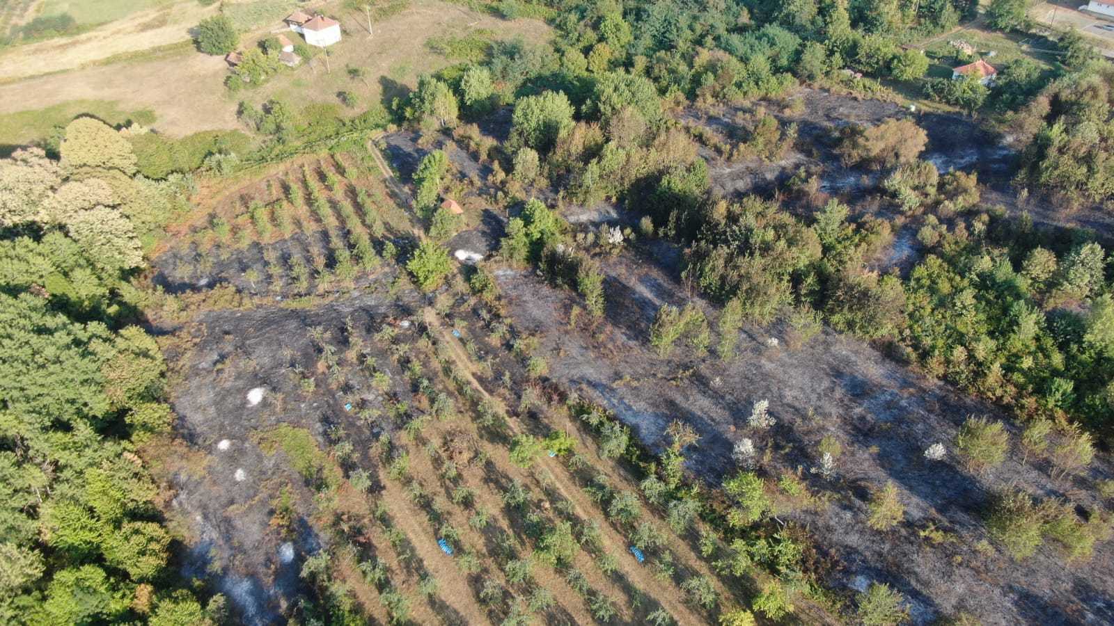 Vatrogasci uspješno ugasili dva velika požara na Majevici