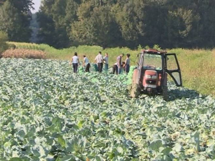 Republički zavod prikuplja podatke o organskoj poljoprivredi u Srpskoj
