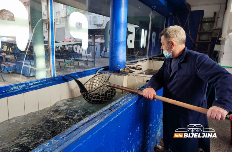 Na početku sezone slava i praznika kilogram ribe skuplji i za 20 odsto