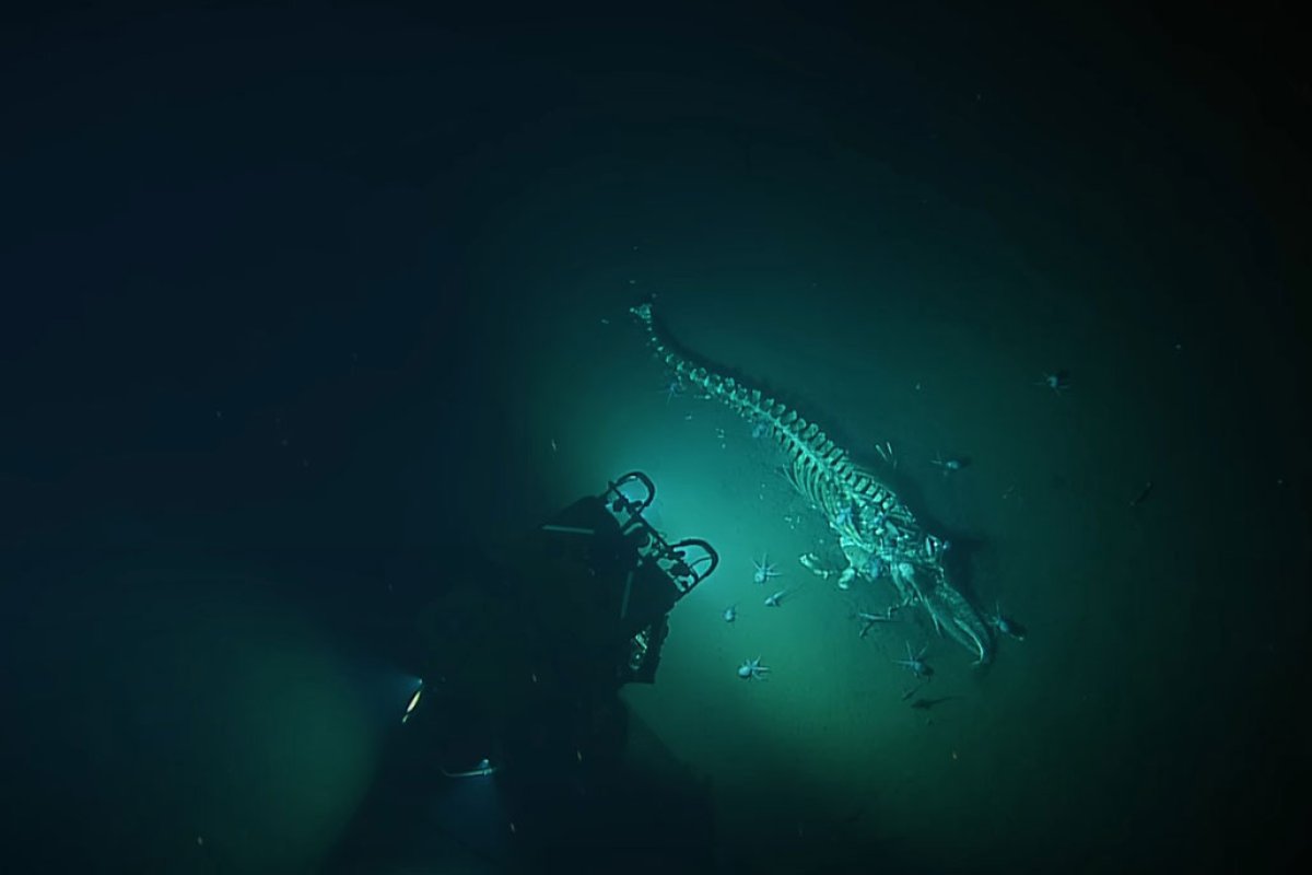 Naučnici snimili zastrašujući prizor na dubini od 3.200 metara