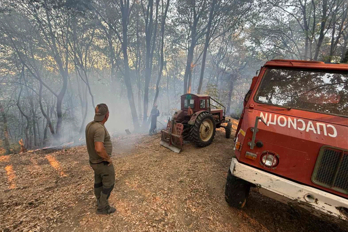 Srbija nastavlja borbu sa vatrenom stihijom, angažovani svi kapaciteti