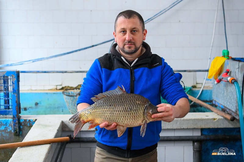 Počeo božićni post: Provjerili smo cijene ribe u Bijeljini (FOTO)