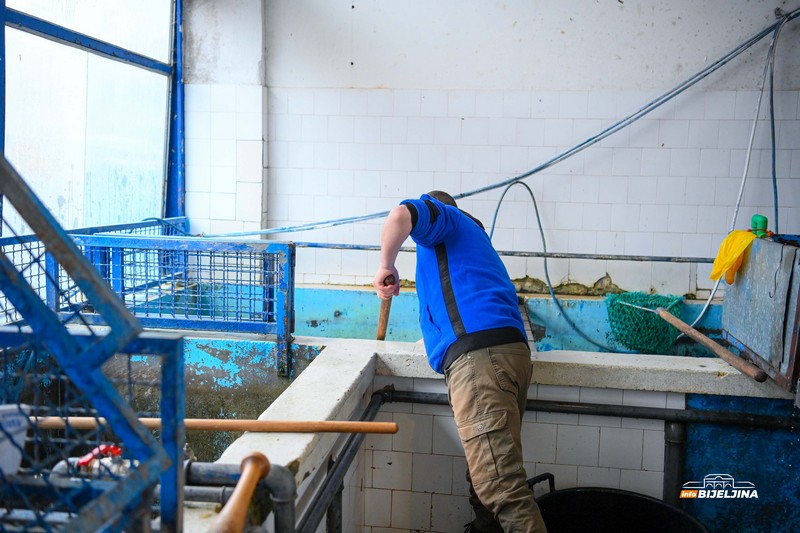 Počeo božićni post: Provjerili smo cijene ribe u Bijeljini (FOTO)