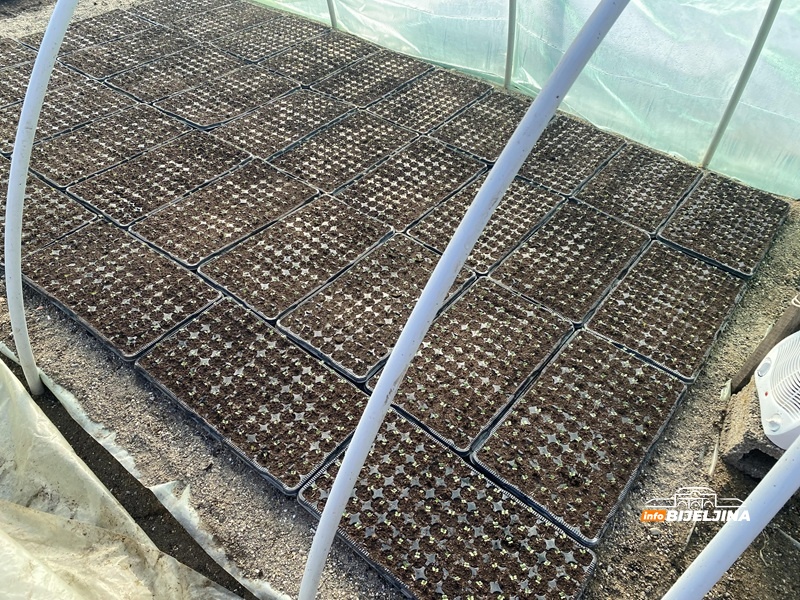 Skupa proizvodnja, jeftina prodaja: Hoće li se semberskim povrtarima isplatiti ovogodišnja sjetva?