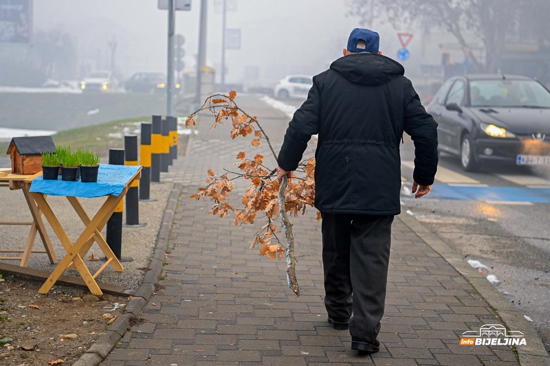 Trgovci u Bijeljini spremili bogat asortiman za Božić: Badnjaci do 50 KM, dovezu vam ih kući (FOTO)