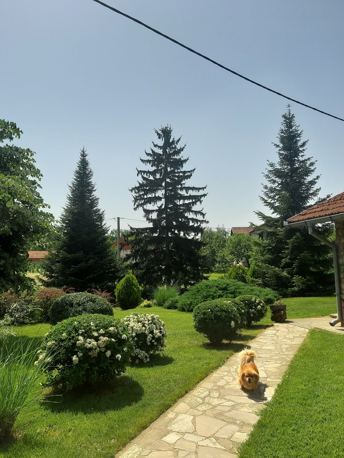 Pogledajte kako izgleda NAJLJEPŠE DVORIŠTE SEMBERIJE