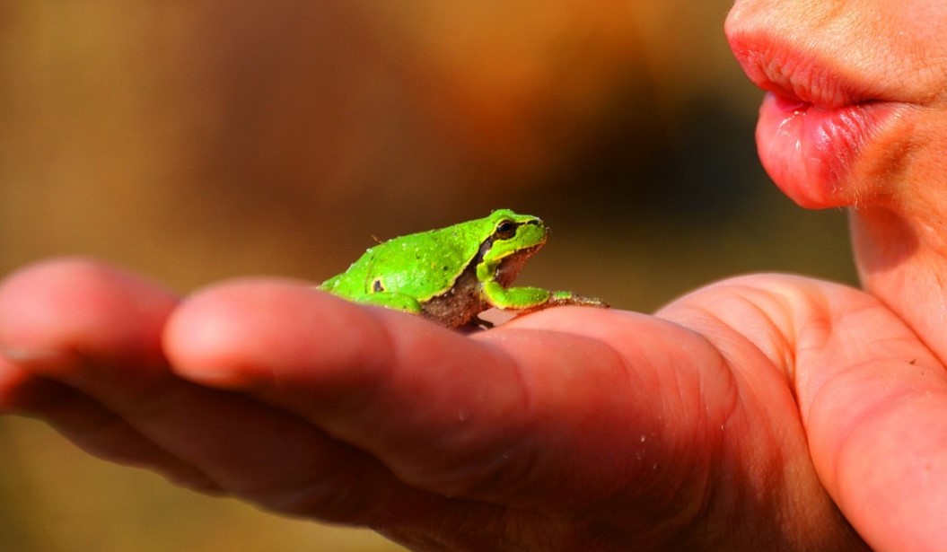 Djevojčica za kućnog ljubimca željela žabu, danas su nerazdvojne (VIDEO)