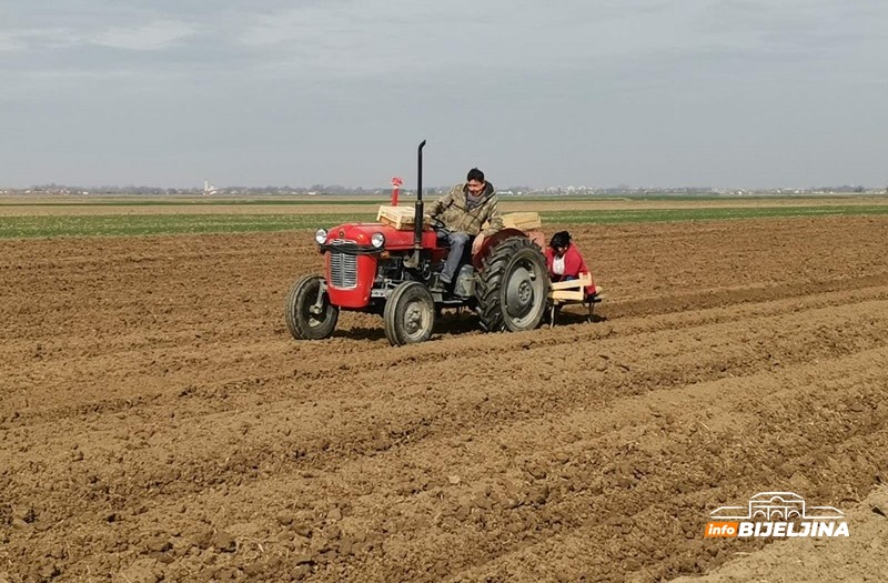 Semberske njive pune traktora: Temperatura idealna za sadnju krompira, potražnja za sjemenom ogromna